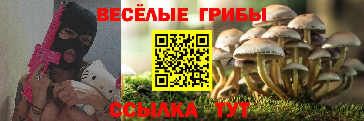 Псилоцибиновые грибы Cubensis Кубинка